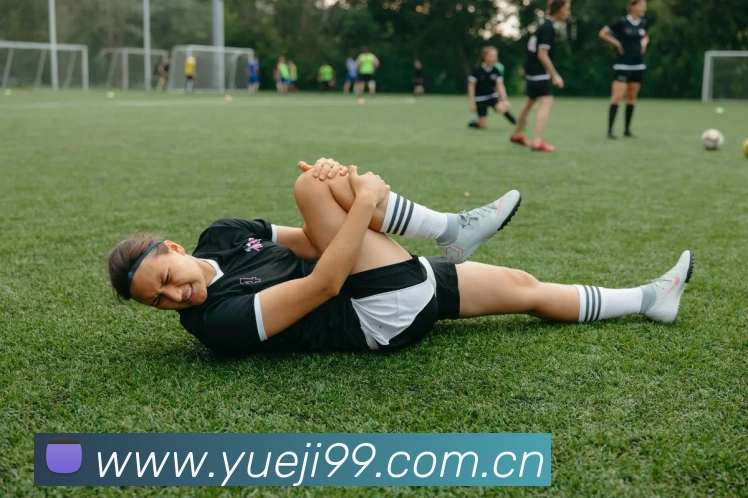 App Interface Preview