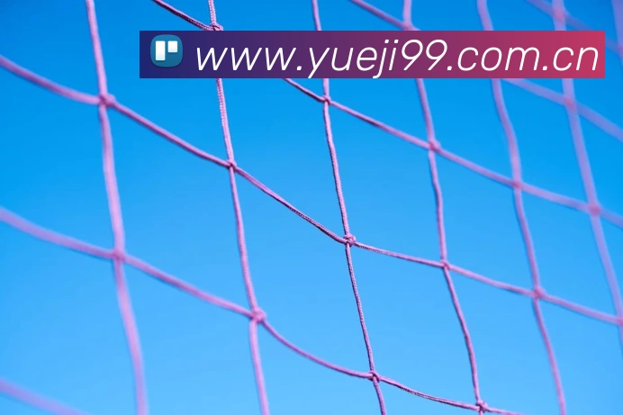 9游会j9官方平台APP 封面图